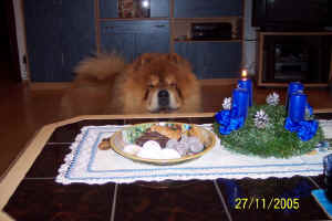 lebensjahr3_bild8.JPG (186436 Byte)