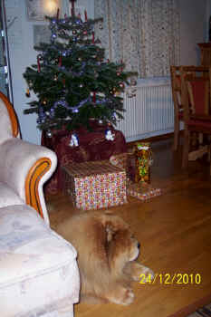 lebensjahr8_bild13.jpg (93291 Byte)