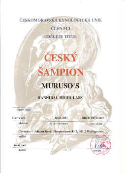 urkunde_chcr.jpg (143985 Byte)