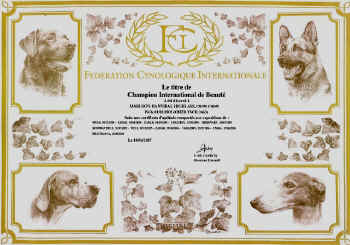 urkunde_chint.jpg (198567 Byte)