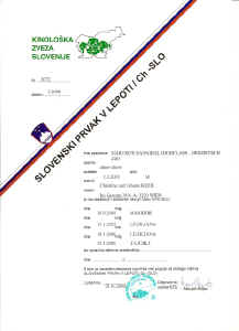 urkunde_chslo.jpg (84625 Byte)