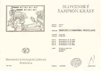 urkunde_chsr.JPG (154670 Byte)