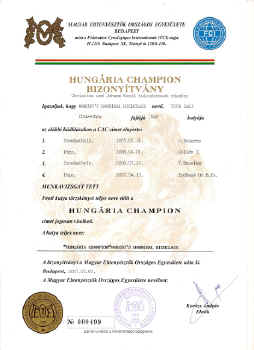 urkunde_hch.jpg (138958 Byte)