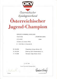 urkunde_�jch.jpg (765374 Byte)