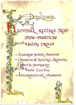 urkunde_pension.JPG (254335 Byte)